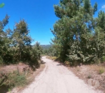 Terrenos Baião - Fotos para Baiao-Terreno em Baião (SD 01789)